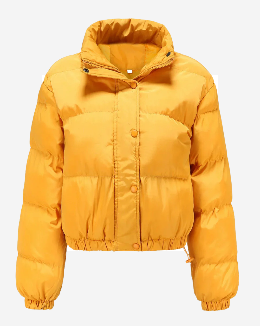 Prescilla | Women's Cropped Puffer Winter Jacket